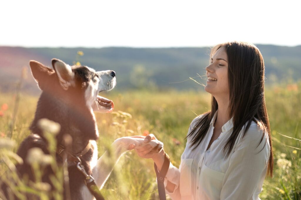 Beautiful young woman playing with funny husky dog outdoors at park