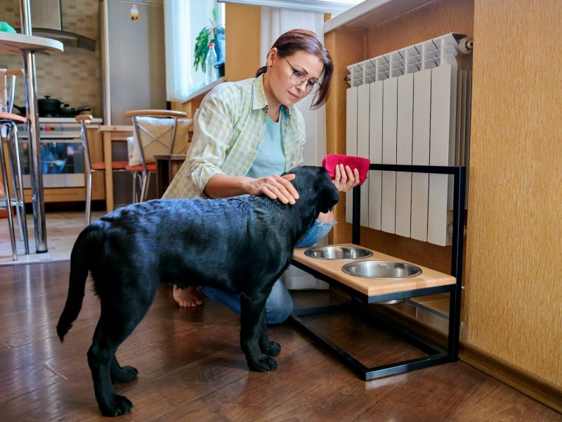 Middle aged woman and pet dog at home in kitchen interior